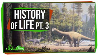 A Brief History of Life: Dinosaur Time!