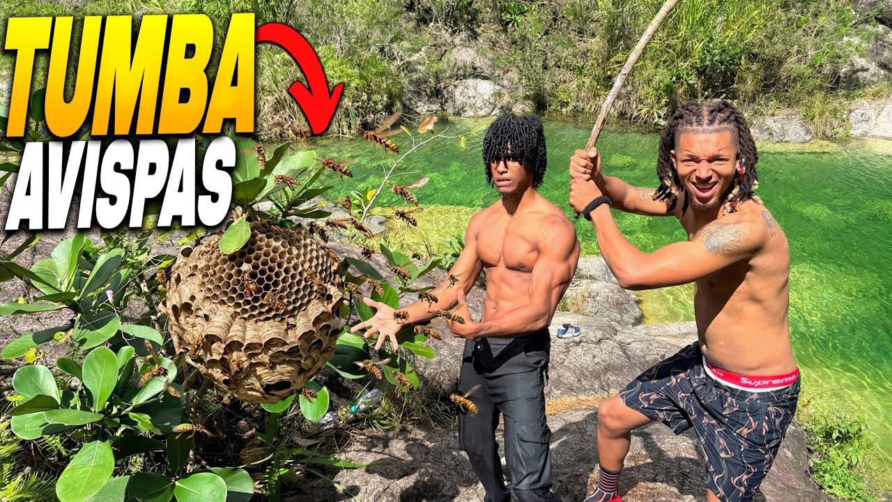 Tumba Avispas 🐝 *Con Chaleco* -Rddani