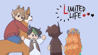 Grian Afk Limited Life Smp Animatic Video