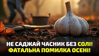 видео: Сіль на грядці восени? Так! Подивись, що сталося з часником навесні! картинка: Сіль на грядці восени? Так! Подивись, що сталося з часником навесні!