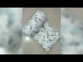 Video Image