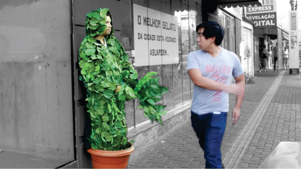 Pegadinha com homem 'vestido de planta' faz sucesso na web