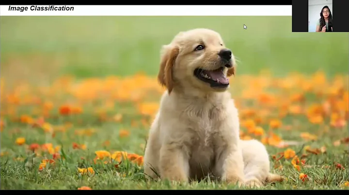 Image Classification , Object Detection and Image Segmentation Difference