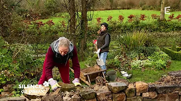 Comment faire une rocaille dans son jardin ?
