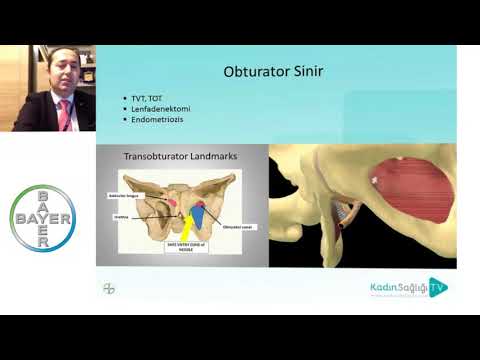 Pelvik Ağrı Ne Biliyoruz? Doç. Dr. Taner Usta