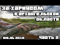 В поисках хариуса  в июле в Архангельской области (г.Котлас) часть 2