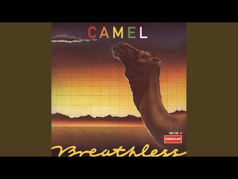 Camel - Down On The Farm
