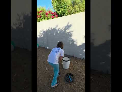 Relocating a gopher snake 🐍