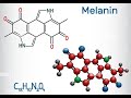 Les secrets et pouvoirs de la melanine pointvirgule rencontre le dr jb luc charlot