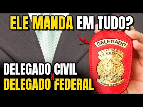 Vídeo: O que é uma unidade de delegado?