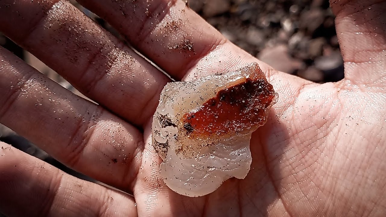 البحث عن الأحجار الكريمة شاطئ البحر العثور على العقيق و الكريستال