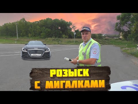 ОПГ ГИБДД  Питерские псы сбежали от этого водителя / Операция РОЗЫСК