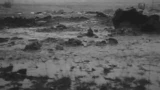 Béla Tarr's Damnation End scene Soundscape