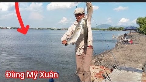 Săn Hugo Đùng Mỹ Xuân || Câu Bống Đục và Cá Chẻm cá Nhồng || Đam mê câu cá