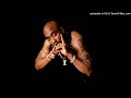 2Pac - Thug N U Thug In Me (Death Row Remix)