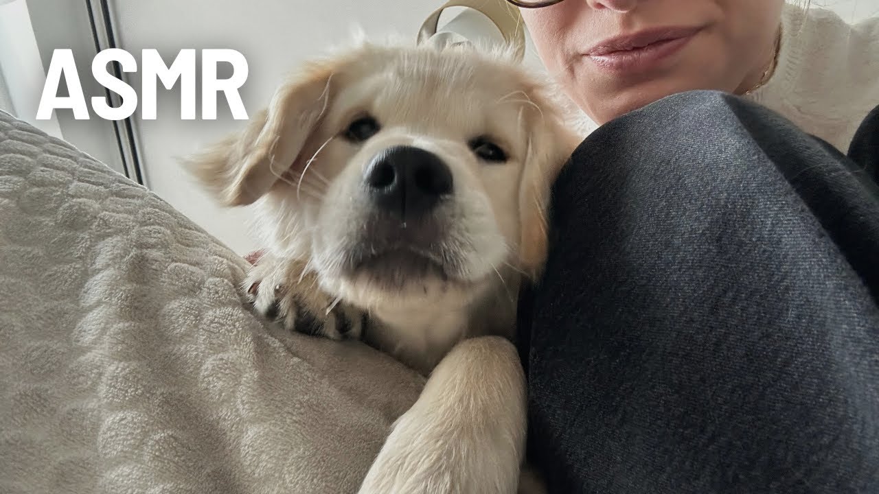 ASMR l Bla-bla avec Aston 🐶