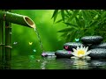 Healing Music for Deep Sleep and Relaxation – Peaceful Piano Harmony for Inner Balance