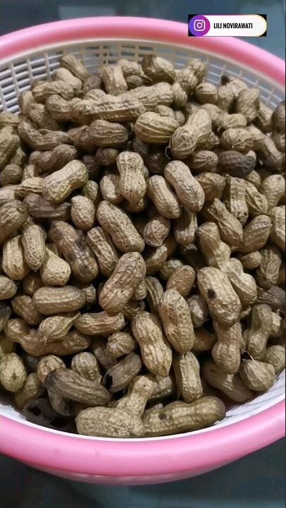How to boil peanuts in their skins so they are tasty, soft and delicious