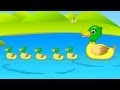 5 Little Ducks | Duck Song | baby nursery rhymes