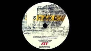Download lagu Shake – Trackin (Fit Sound, 2010)