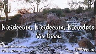 Vio Diacu - Nicidecum, Nicidecum, Niciodata (Cu Versuri)