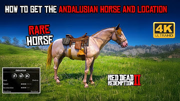 How To Get the Rare Andalusian Horse & Its Hidden Location | Arthur Morgan’s Strongest Mount 🐎