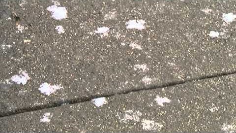 HUGE SNOWFLAKES in Northbrook, IL -- Largest Snowflake I have Ever Seen