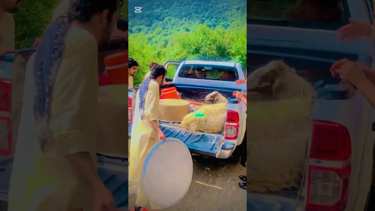 Form bara khyber agency to orakzai agency (godar) on a short trip with family♥️👁️☠️