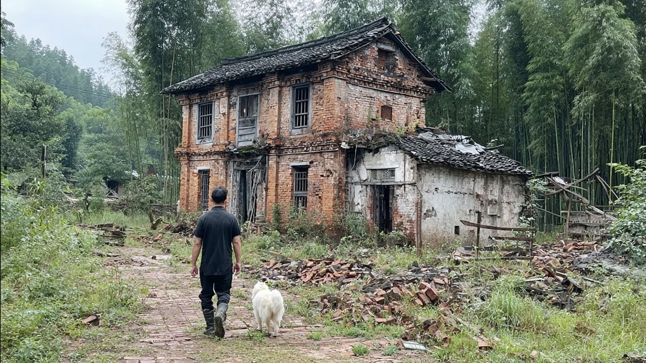 To Get Out of Debt, Couple Renovates an Abandoned House Full of Weeds to Live With Their Dog