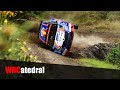 WRC | Rally Portugal 2021 | CRASH & JUMPS