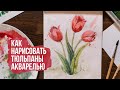 Как нарисовать тюльпаны поэтапно акварелью | Видео уроки по рисованию для начинающих. Онлайн школа