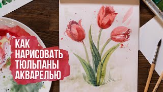 Как нарисовать тюльпаны поэтапно акварелью | Видео уроки по рисованию для начинающих. Онлайн школа