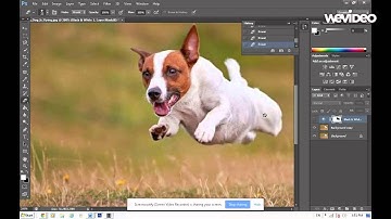 How to do PhotoShop CS6 Selective Color.