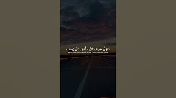 تلاوة عطرة من سورة يوسف بصوت مريح🍃🤍| القارئ محمد هاشم