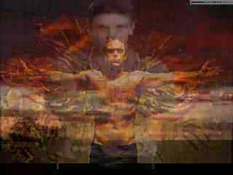 robbie williams (i will survive)