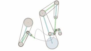 Whale Linkage 2