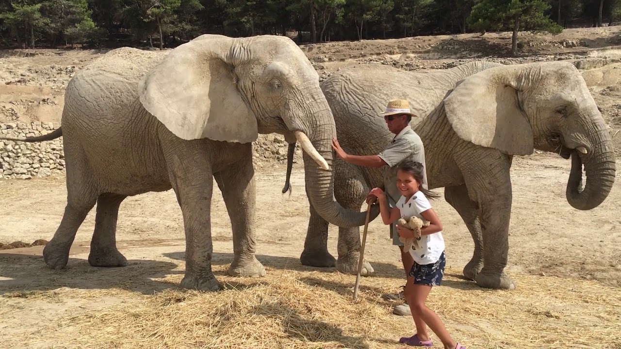 aitana safari park