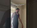 Insects vs Flies: Room Encounter 😂