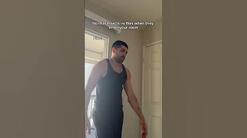Normal Insects Vs Flies When They Enter Your Room Shorts Skit Funny 
