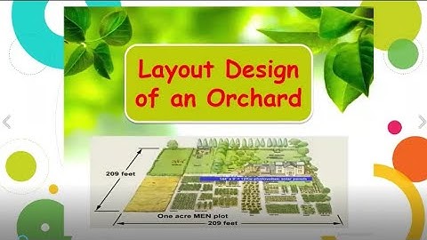 Layout Design of an Orchard