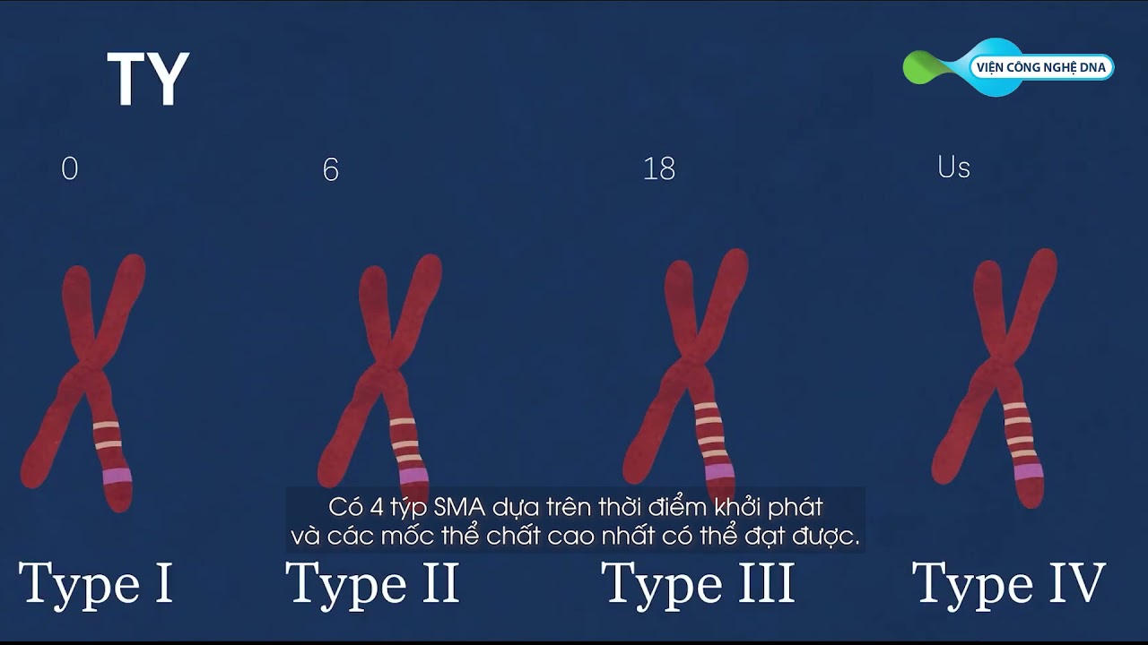 Kiến thức về bệnh Thoái hóa cơ tủy (SMA) - YouTube