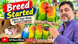 Breed STARTED! Share Your Bird Breeding Progress
