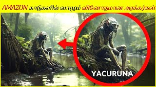 அமேசான் மழைக்காடுகளின் மறைக்கப்பட்ட மர்மங்கள் | Hidden Mysteries of the Amazon Rainforest