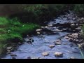 ほたる川/朝潮太郎 #昭和歌謡カバー