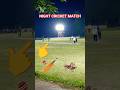 Night Cricket Match 🏏 #shortsvideo #cricket #match #shorts