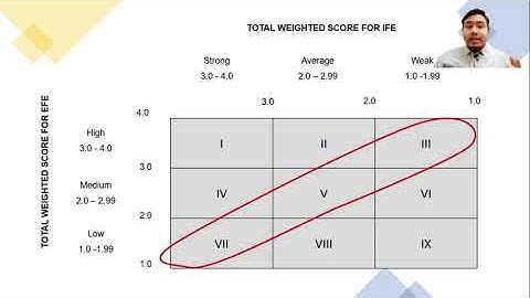 Internal-External (IE) Matrix