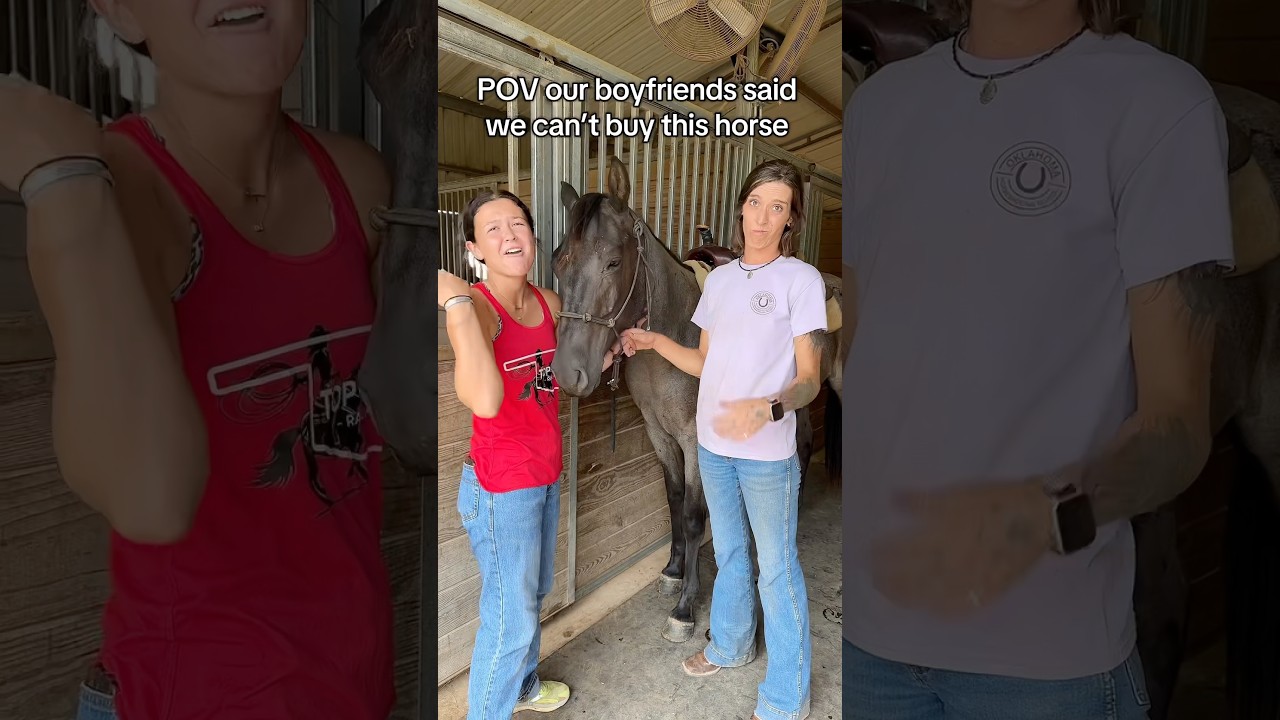 There are ALWAYS more options ladies 💁🏼‍♀️🤭 