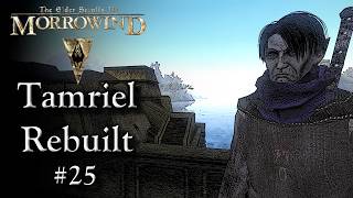 Expensive Error - Ep 25 | Morrowind | OpenMW 0.49 | Tamriel Rebuilt | Total Overhaul Mod