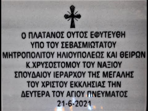 ΦΥΤΕΥΣΗ ΠΛΑΤΑΝΟΥ ΣΤΟΝ ΠΡΟΑΥΛΙΟ ΧΩΡΟ ΤΟΥ ΝΑΟΥ
