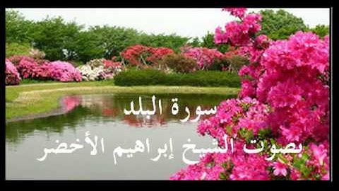 سورة البلد بصوت الشيخ ابراهيم الاخضر
